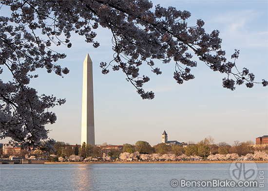 The Washington Monument from across the tidal basin