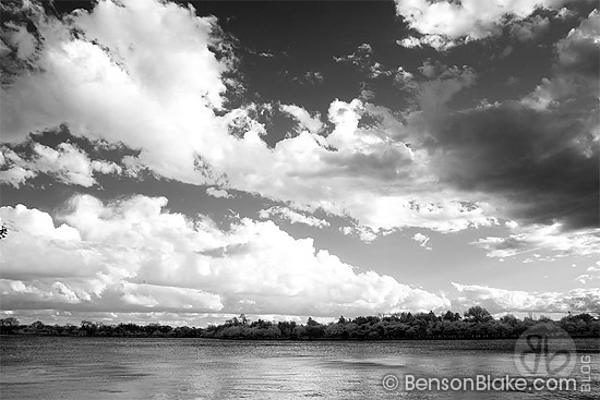 Cherry blossoms in Washington DC 2009 - infrared