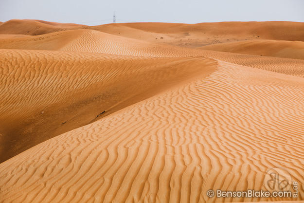 Camel riding in Al Ain, Abu Dhabi