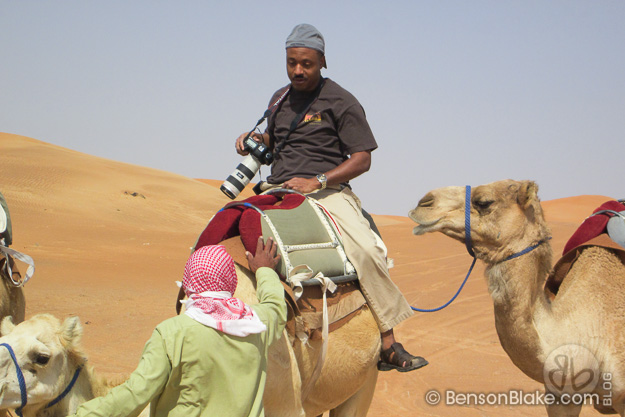 Camel riding in Al Ain, Abu Dhabi